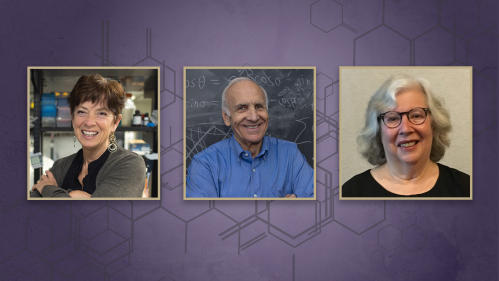 images of three rutgers professors driscoll, banks and berman against a field of blue