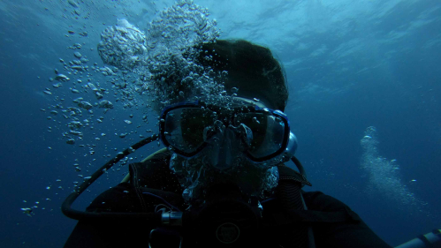 Rutgers medical student Erin Go takes a selfie underwater off of the Philippine island Malapascua.