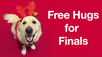 Roscoe the therapy dog