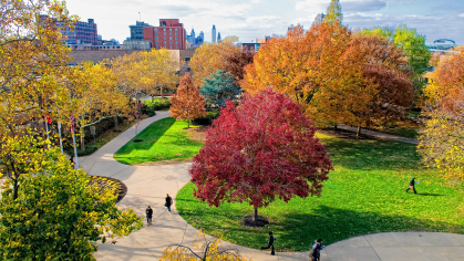 Trees showing off fall colors 
