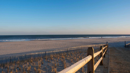 Seagrass plantings on the Atlantic Ocean