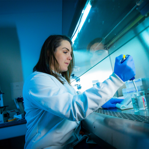 Melissa Wilkinson, a postdoctoral associate in the Joint Graduate Program in Toxicology 