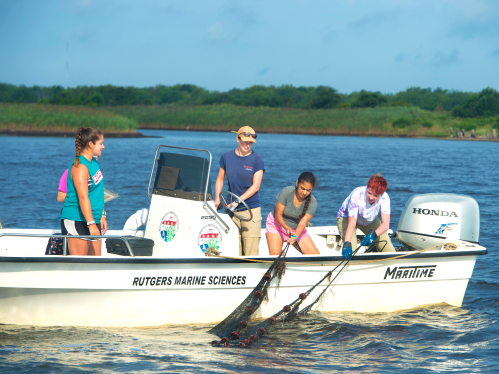 Research on Oyster Creek