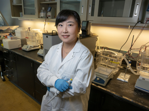 Dr. Fei Zhang, Assistant Professor of Chemistry (SASN) in her lab