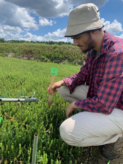 a Rutgers postdoctorla researcher in the field looking at basil
