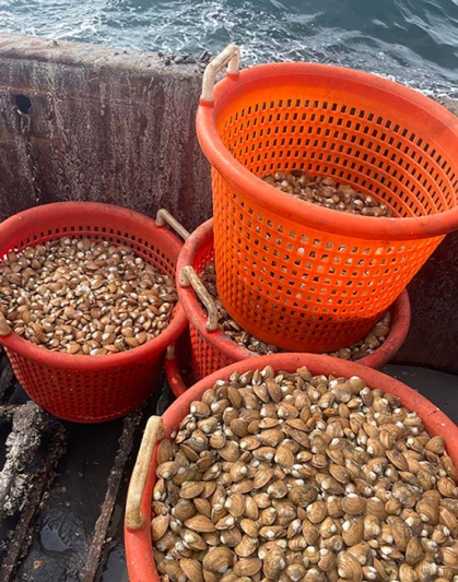 Barrels of clams on the deck of a ship at sea