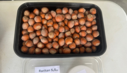 A collection of hazelnuts in a black container