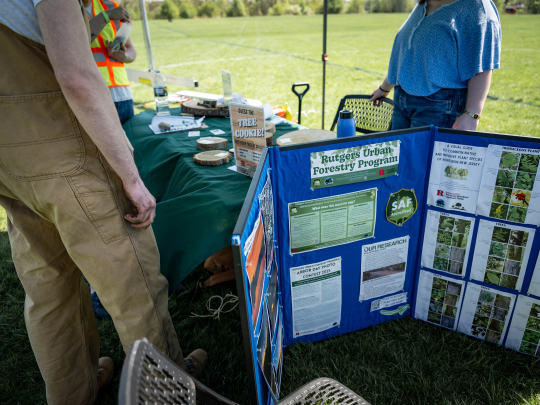 Urban forestry program at the tree planting festival