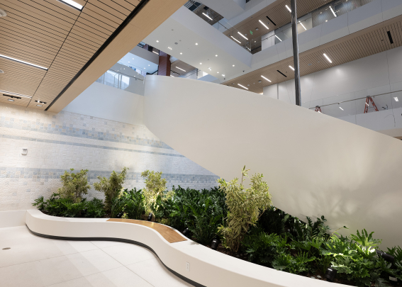 Jack & Sheryl Morris Cancer Center